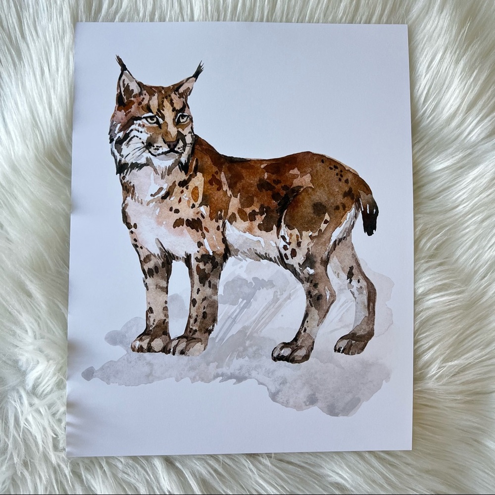 Wall Art Watercolor Lynx Bobcat Illustration Print Poster Unframed - Picture 14 of 17